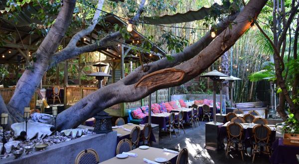 A Treehouse Restaurant In Southern California, Cliff’s Edge, Is Downright Enchanting