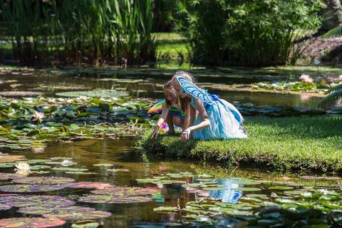 You Won't Want To Miss This Magical Fairy Festival In Florida's Beautiful Gardens