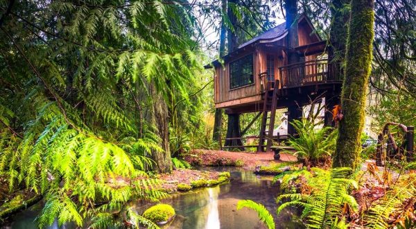 Sleep Underneath The Forest Canopy At This Epic Treehouse In Washington