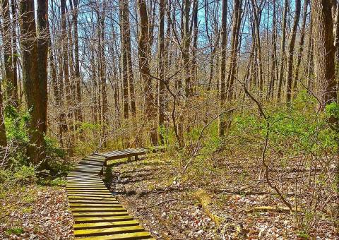 10 Easy Hikes To Add To Your Outdoor Bucket List In Ohio