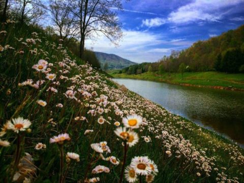 The 11 Places You Absolutely Must Visit In Virginia This Spring