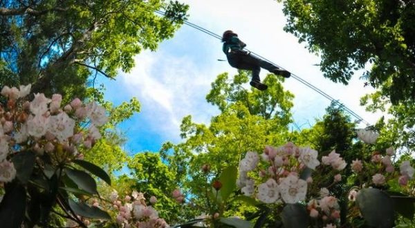 The Epic Zipline In Massachusetts That Will Take You On An Adventure Of A Lifetime