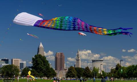 This Incredible Kite Festival In Ohio Is A Must-See