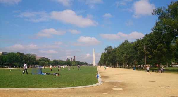 The 10 Best Places In Washington DC To Go On An Unforgettable Picnic