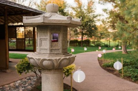 You’ll Feel Like You’re Uncovering A Hidden Oasis When You Visit This Arizona Garden