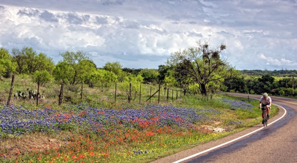 It’s Impossible Not To Love This Breathtaking Wild Flower Trail In Texas