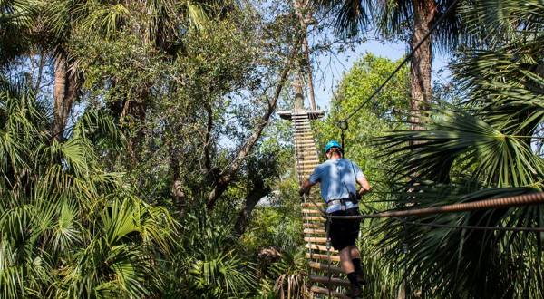 The Epic Canopy Course In Florida That Will Bring Out The Adventurer In You
