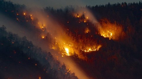 A Wildfire Is Ripping Through A National Park In North Carolina And It's Truly Heartbreaking
