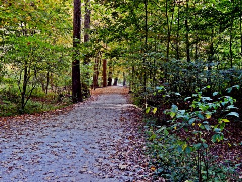 The 7 Most Beautiful Bike Trails You Can Take In Pittsburgh