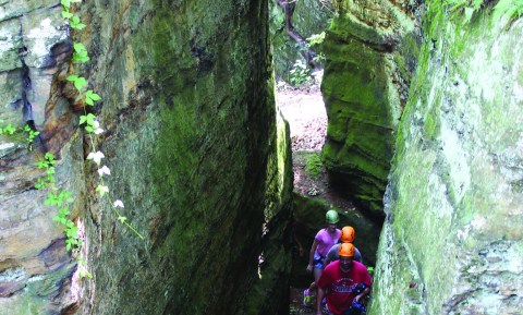 The Ultimate Canyon Adventure In Ohio Most People Don't Know About