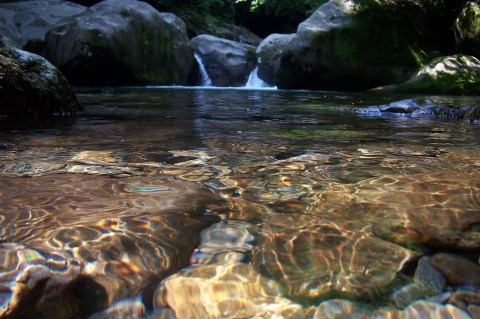 The Incredible Mountain-Fed Pool In North Carolina You Absolutely Need To Visit