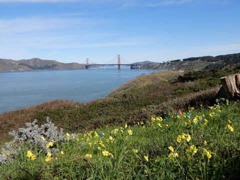 10 Picnic Perfect San Francisco Hikes That Will Make Your Spring Complete
