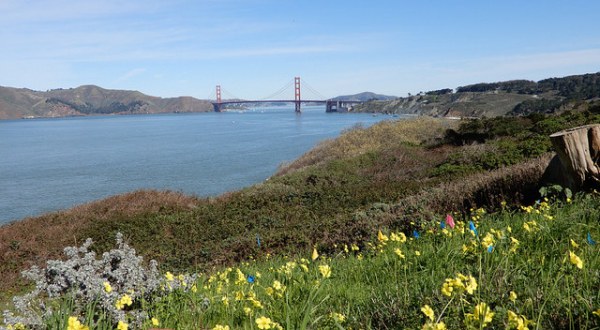 10 Picnic Perfect San Francisco Hikes That Will Make Your Spring Complete