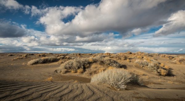 This Surreal Desert Lakebed In Oregon Is Out Of This World