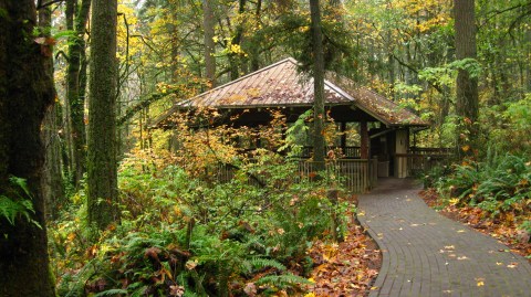 The Under-Appreciated State Park In Portland You're Sure To Love