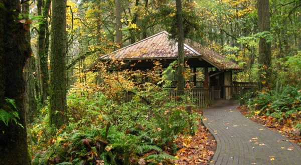The Under-Appreciated State Park In Portland You’re Sure To Love