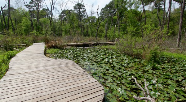 Stay Away From The Most Haunted Bridge In Texas Unless You Want Nightmares