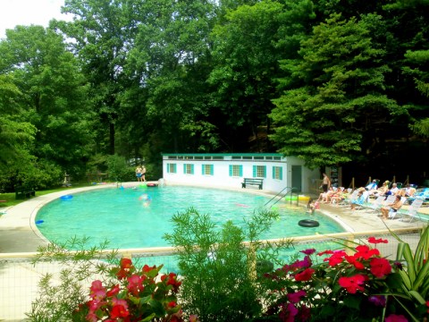 The Incredible Spring-Fed Pool In West Virginia You Absolutely Need To Visit