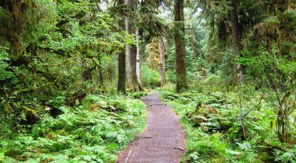 National Geographic Just Named This Washington Trail One Of The Best In The World