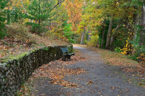 Visit These 8 Urban Parks In Rhode Island For A Quick Escape Into Nature