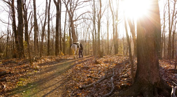 The Hiking Trail Hiding In Nashville That Will Transport You To Another World