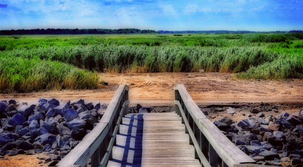 Escape To These 14 Hidden Oases In Delaware To Find Peace And Quiet