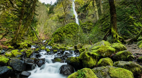 There’s A Gorgeous Waterfall Hiding In A Forest In Oregon And You’ll Want To Visit