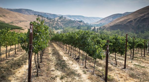 The Remote Winery In Idaho That’s Picture Perfect For A Day Trip