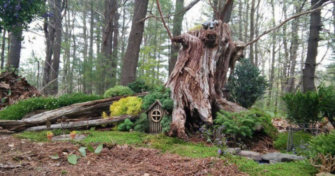 Most People Have No Idea There's A Fairy Garden Hiding In Massachusetts And It's Magical