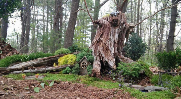 Most People Have No Idea There’s A Fairy Garden Hiding In Massachusetts And It’s Magical