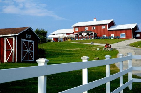 The Remote Winery In Massachusetts That's Picture Perfect For A Day Trip