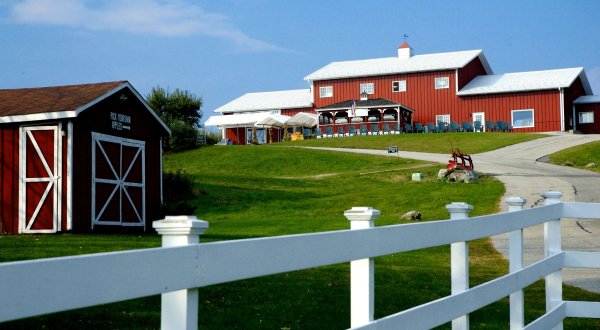 The Remote Winery In Massachusetts That’s Picture Perfect For A Day Trip