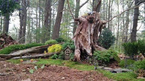 Most People Have No Idea There's A Fairy Garden Hiding In Massachusetts And It's Magical