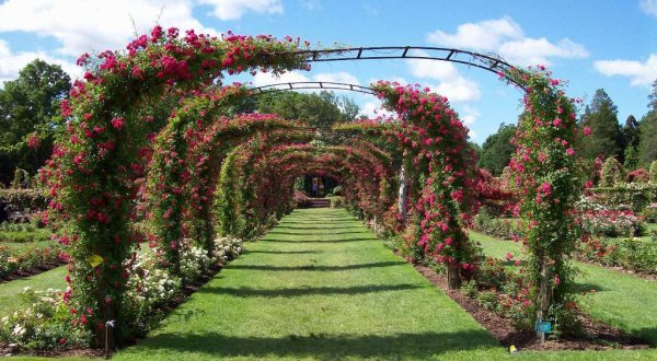 You Must Visit Connecticut’s Stunning Tunnel Of Flowers Before Spring Is Over