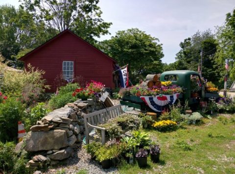 These 12 Charming Farms In Connecticut Will Make You Love The Country