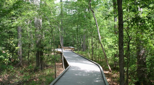 11 Gorgeous Trails In Louisiana Less Than 2 Miles That Nearly Anyone Can Do