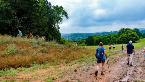 10 Amazing Tennessee Hikes Under 3 Miles You'll Absolutely Love