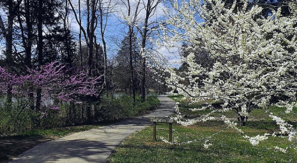The 10 Places You Absolutely Must Visit In Kentucky This Spring