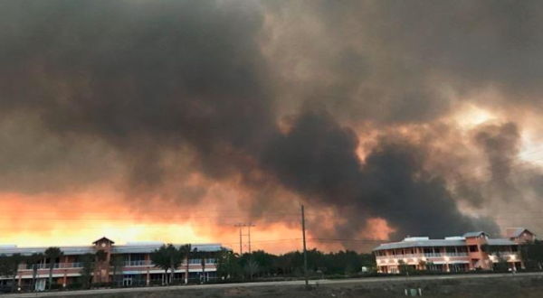 Wildfires Are Ripping Through Parts Of Florida And It’s Truly Heartbreaking