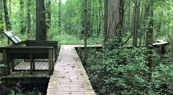 12 Hidden Places In Maryland Only Locals Know About