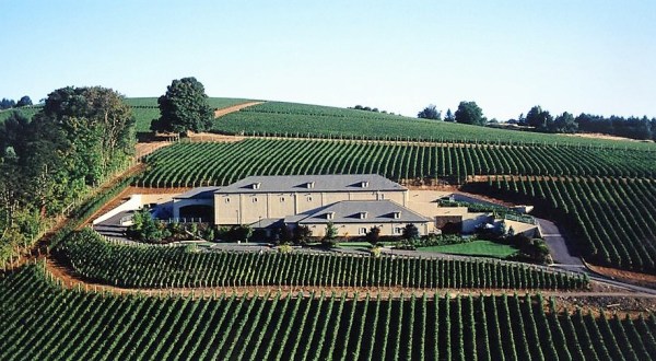 The Remote Winery Near Portland That’s Picture Perfect For A Day Trip