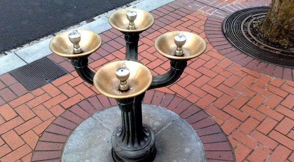 There Are No Other Drinking Fountains In The World Quite Like The Ones In Portland