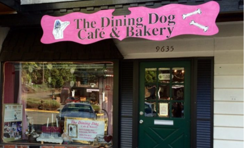 There's A Dog Cafe In Washington And It's Just As Amazing As It Sounds