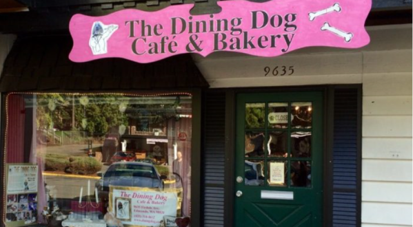 There’s A Dog Cafe In Washington And It’s Just As Amazing As It Sounds
