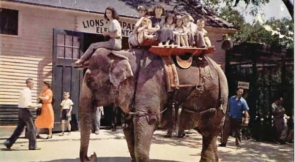 This Former Zoo In New Hampshire Is Now A Park And You’ll Want To Visit