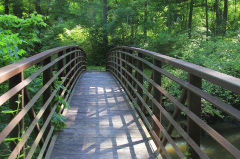 11 Amazing South Carolina Hikes Under 3 Miles You'll Absolutely Love