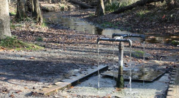 Most People Don’t Know There’s A Fountain Of Youth Hiding In Small Town South Carolina