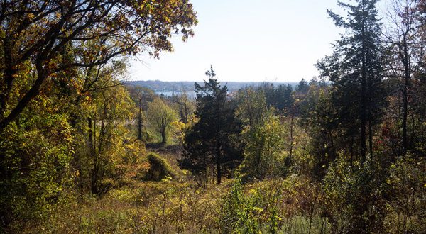 The Outdoor Discovery Park In New Jersey That’s Perfect For A Family Day Trip