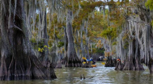 The Country’s Largest Swamp Is Right Here In Louisiana And You’ll Want To Visit