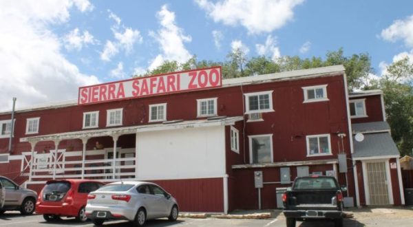You’ll Absolutely Love A Trip To This Little Known Safari Zoo In Nevada